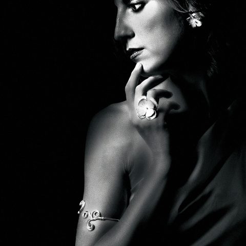 Profile of Elegance